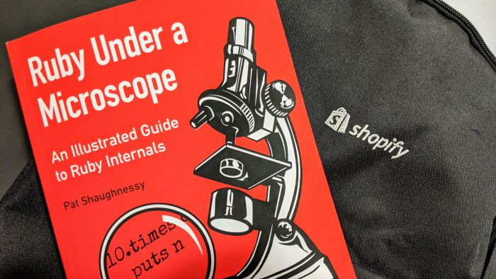 Front cover of the book “Ruby Under a Microscope”